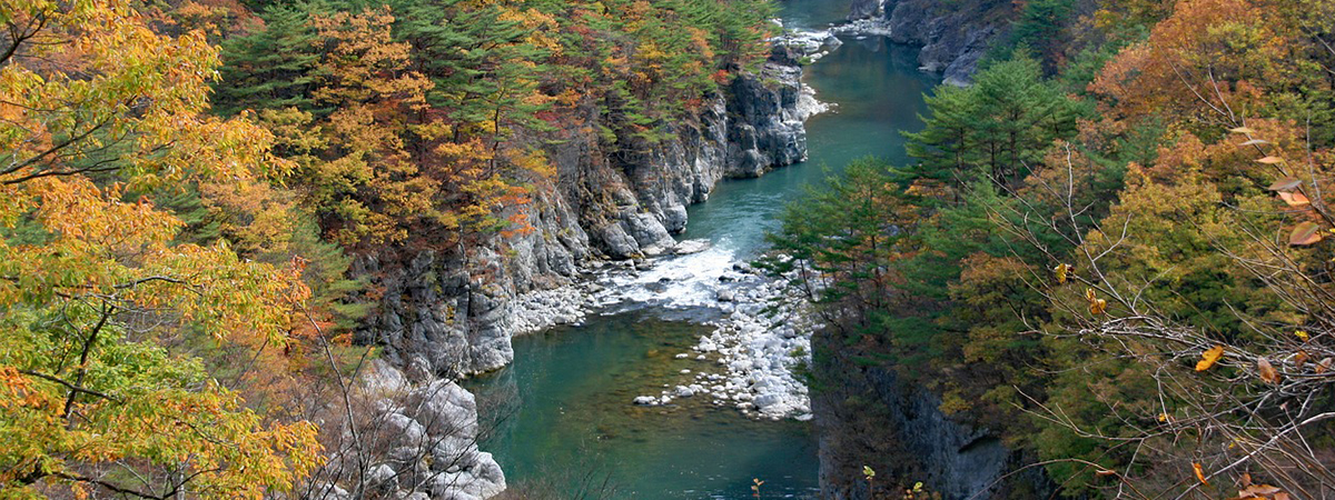 栃木県の相談窓口イメージ