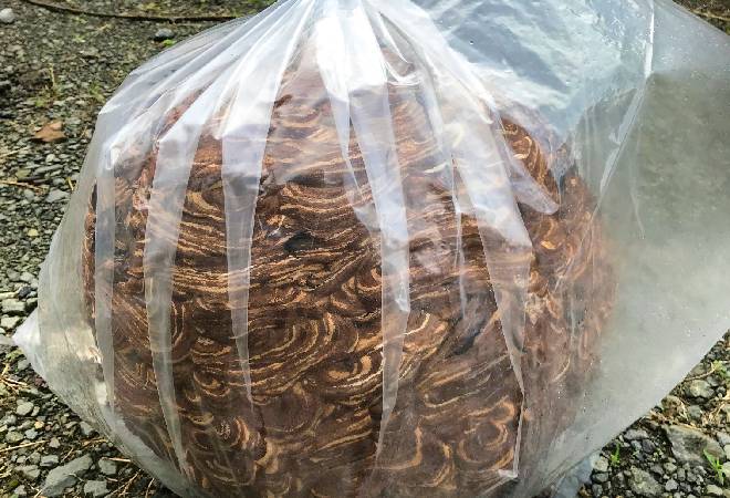 突然業者から「別荘にスズメバチの巣があったから駆除した」と言われ高額請求された…|探偵利用事例