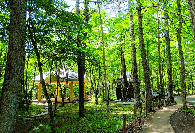 突然、業者から高額請求を受けた…|50代男性からの調査相談