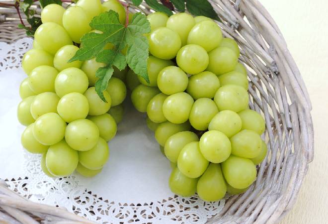 盗まれたシャインマスカットが都内で販売されているとのうわさ…|探偵利用事例