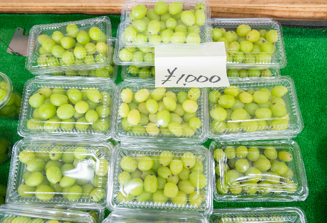 盗まれたシャインマスカットが都内で販売されている?|農家男性からの調査相談